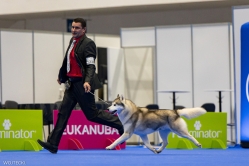 Luka Klubowa Nordyckich Poznań 8.11.2024